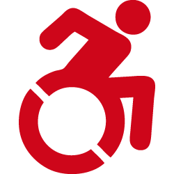 Disabilità motorie