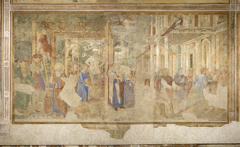 Vendemmia ed ebrezza di Noè, Camposanto, Pisa