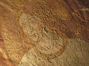 Depositi salini all'interno delle stesure del colore e dell'intonaco del tabernacolo della Madonna della Tosse.