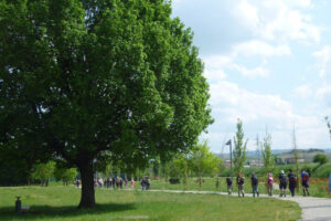 Organizza la tua visita gruppi e famiglie museo bego